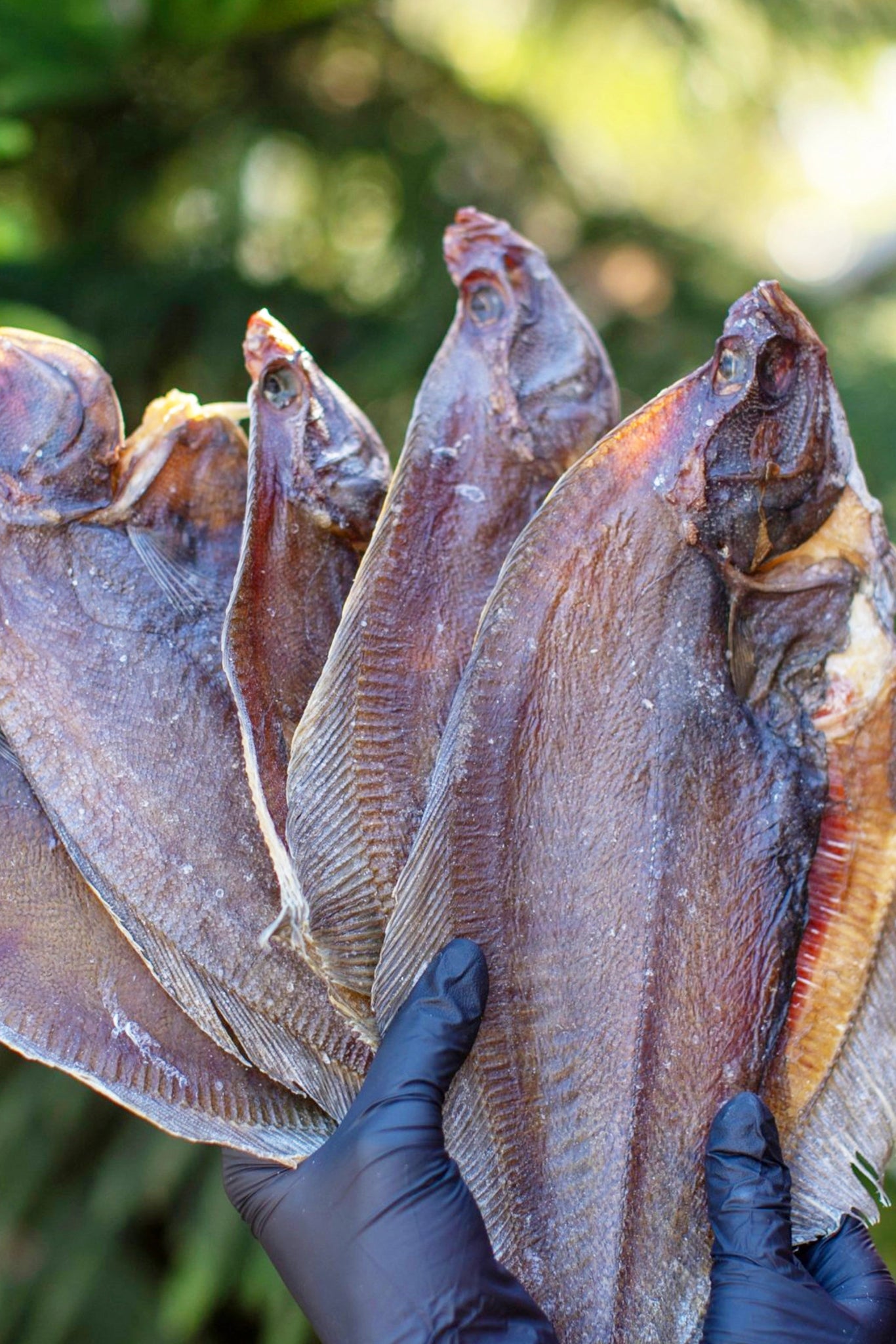 Flounder (Dried Kambala) - Smoke It Fish