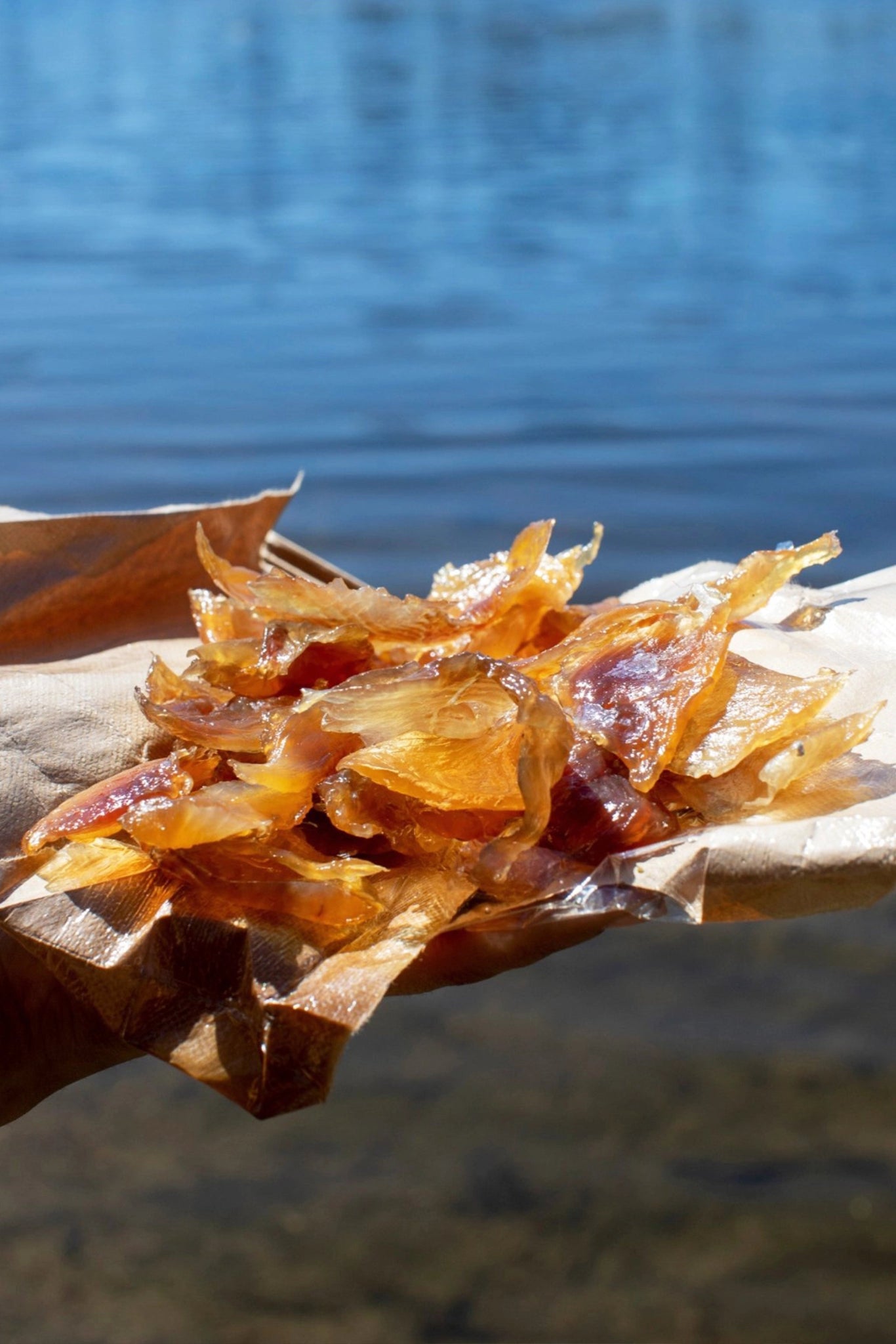 Salty Bites (Salty Trout Fish Jerky) - Smoke It Fish