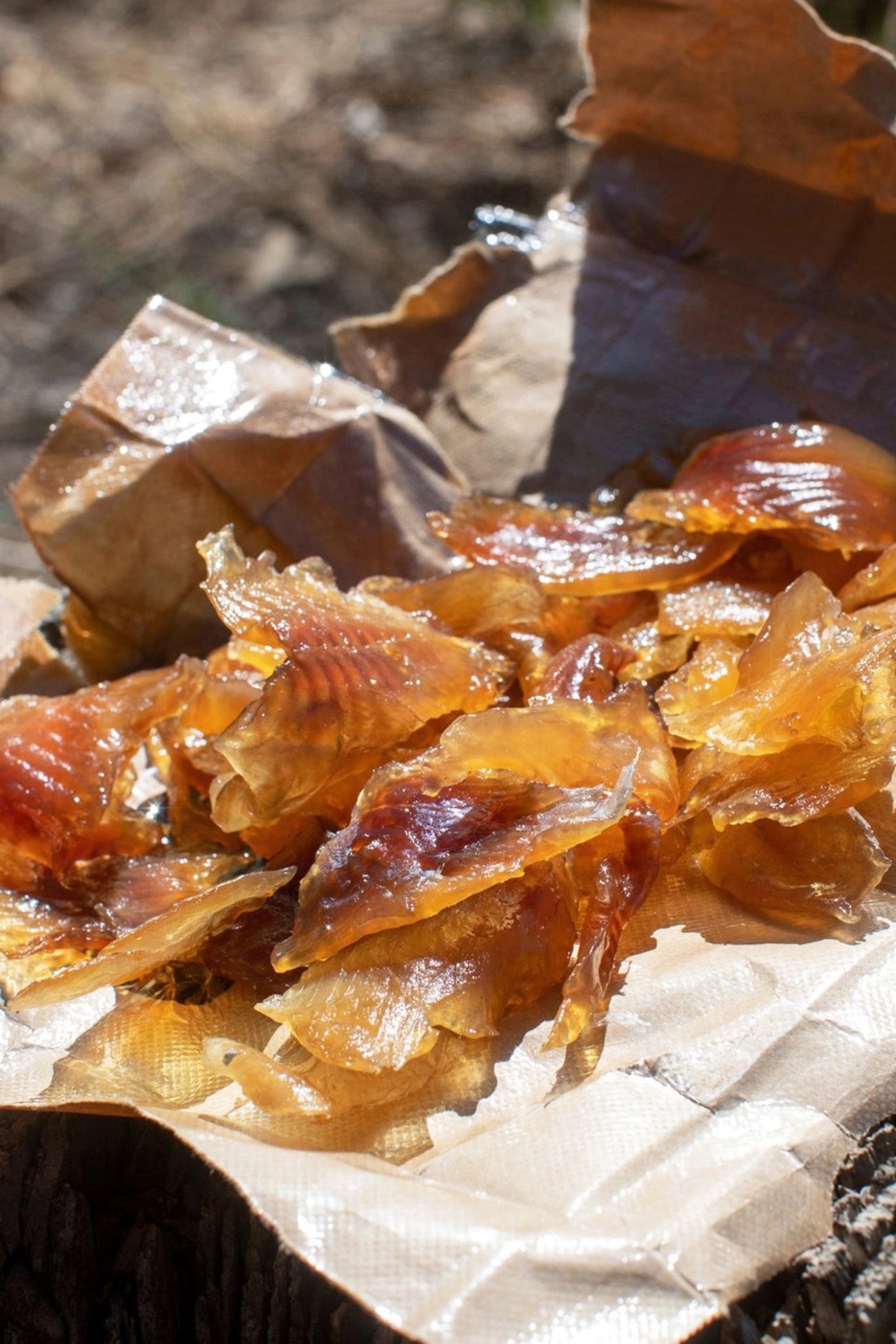 Salty Bites (Salty Trout Fish Jerky) - Smoke It Fish