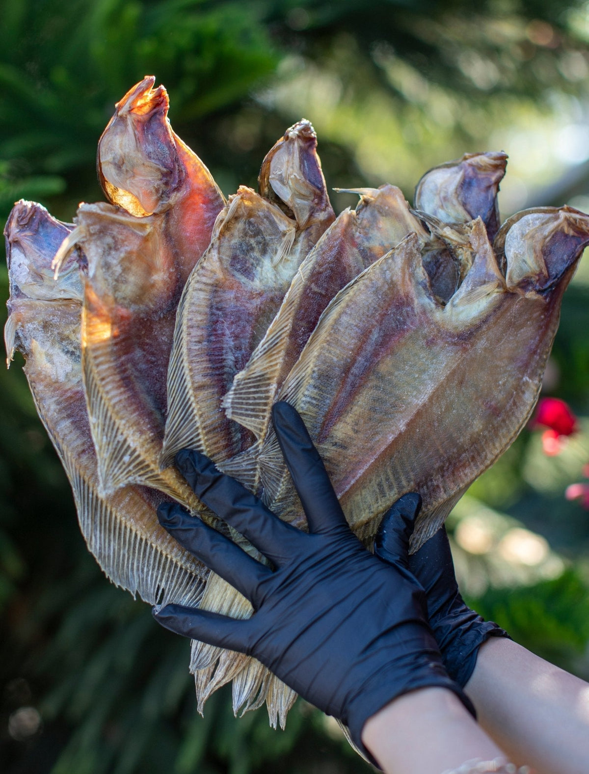 What to Eat With Beer: A Fish Snack Pairing Guide