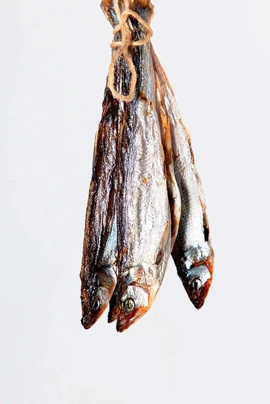 Koryushka: the smelt that smells like cucumber, and why we dry it for six days