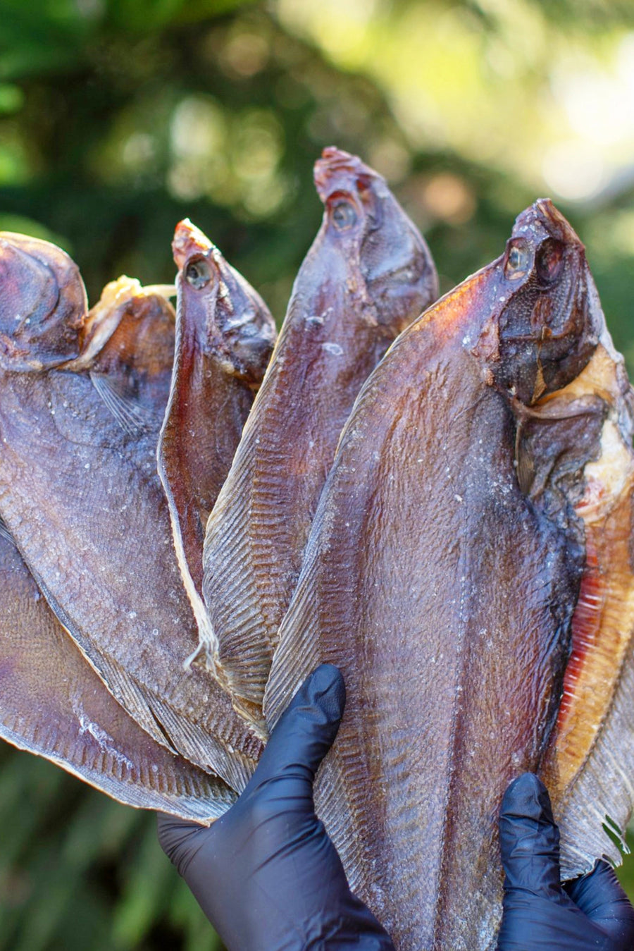 Flounder (Dried Kambala) - Smoke It Fish