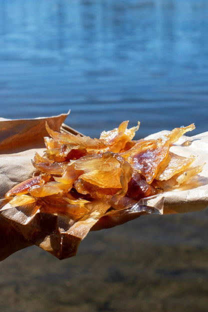 Salty Bites (Salty Trout Fish Jerky) - Smoke It Fish