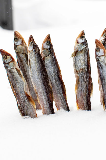 Smelt (Dried Salted Koryushka) - Smoke It Fish