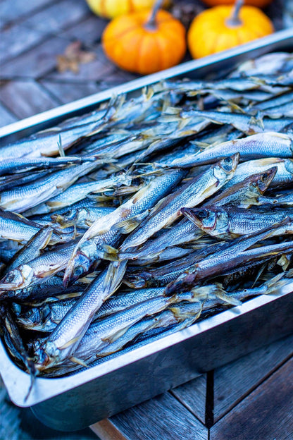 Smelt (Dried Salted Koryushka) - Smoke It Fish
